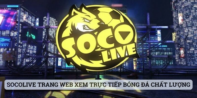 Mách Bạn 7 Kênh Web Xem Trực Tiếp Bóng Đá Uy Tín, An Toàn - Ảnh 1