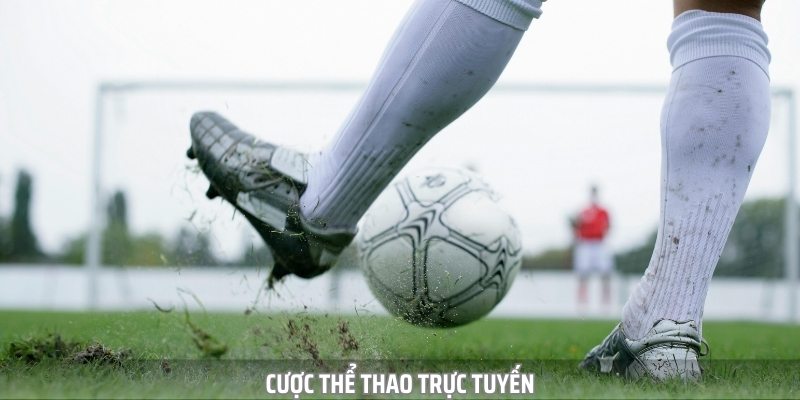 Cược Thể Thao Trực Tuyến W88 - Nơi Hội Tụ Đam Mê Bóng Đá