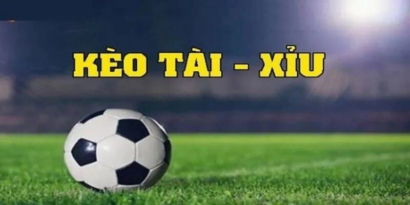 Cách Chơi Kèo Tài Xỉu - Chiến Lược Cá Cược Tại Sân Chơi 7m - Ảnh 2