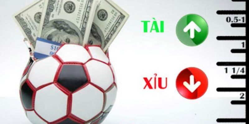 Cách Chơi Kèo Tài Xỉu - Chiến Lược Cá Cược Tại Sân Chơi 7m - Ảnh 3
