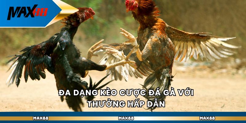 Max88 - Quy Luật Đá Gà Thomo Chuẩn Quốc Tế Ở Nhà Cái Uy Tín - Ảnh 4