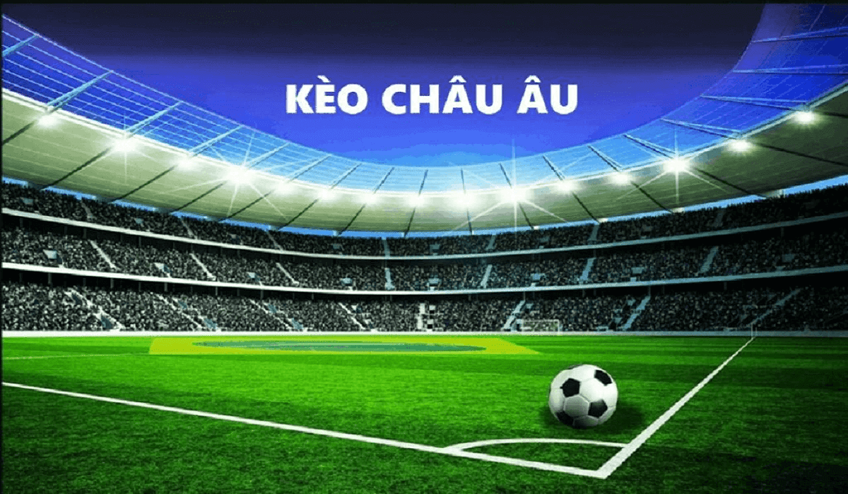 Cược bóng đá 79King đỉnh cao - Người chơi thưởng nóng mỗi ngày - Ảnh 2