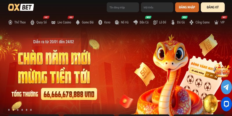 Oxbet - Nhà cái uy tín với hàng ngàn tựa game hấp dẫn - Ảnh 1