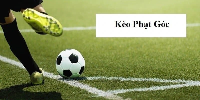Cách soi kèo phạt góc sut88 giúp bạn không bao giờ lỗ - Ảnh 3