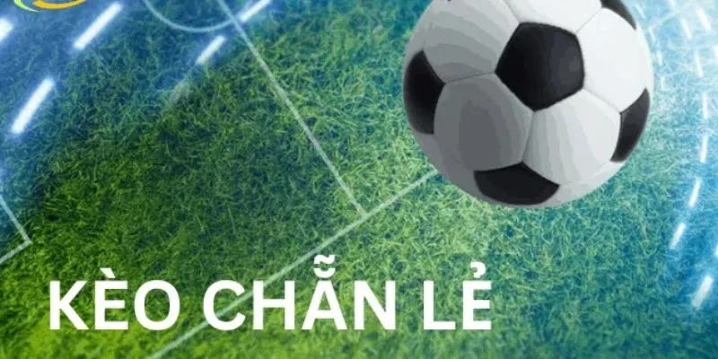 Tỷ Lệ Kèo – Chìa Khóa Thành Công Khi Đặt Cược Bóng Đá - Ảnh 3