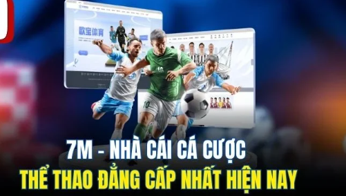 Hệ sinh thái nhà cái 7MCN: Bức tranh tổng thể từ pháp lý đến trải nghiệm - Ảnh 1