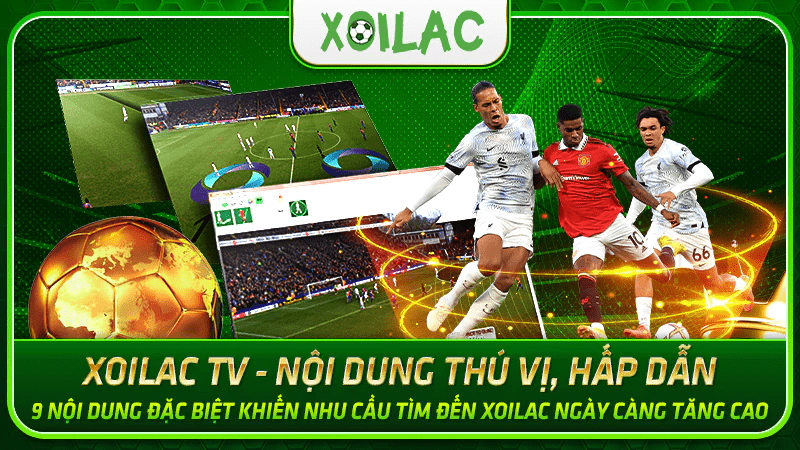 Top các lý do phải xem trực tiếp bóng đá tại Xoilac TV - Ảnh 1