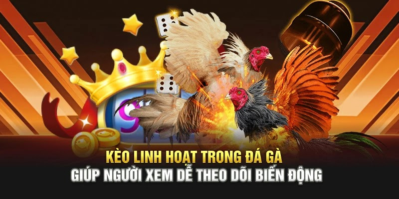 Công thức cược đá gà bất bại – Cược đâu thắng đó, tiền về như nước - Ảnh 4