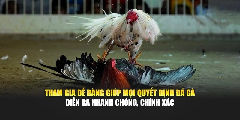 Chơi Đá Gà 32WIN: Bí Kíp Kiếm Tiền Nhanh, Bạn Không Thử Thì Tiếc! - Ảnh 2