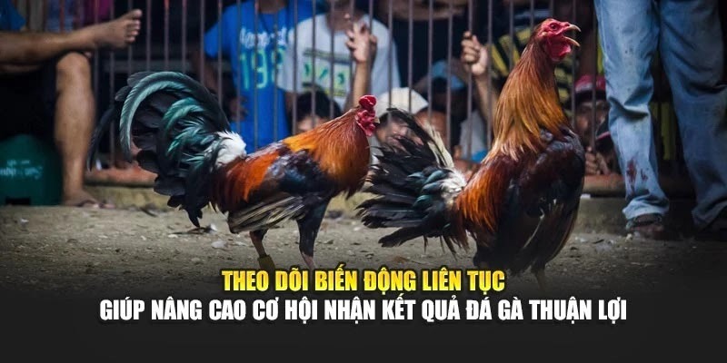 Chơi Đá Gà 32WIN: Bí Kíp Kiếm Tiền Nhanh, Bạn Không Thử Thì Tiếc! - Ảnh 3