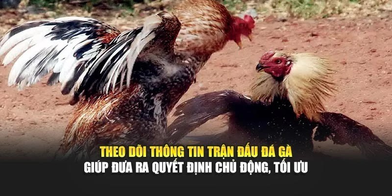 Chơi Đá Gà 32WIN: Bí Kíp Kiếm Tiền Nhanh, Bạn Không Thử Thì Tiếc! - Ảnh 5