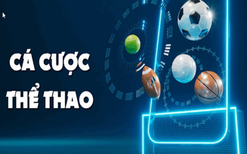 Luck8: Khám phá Cá Cược Thể Thao Đỉnh Cao Nhất - Ảnh 3