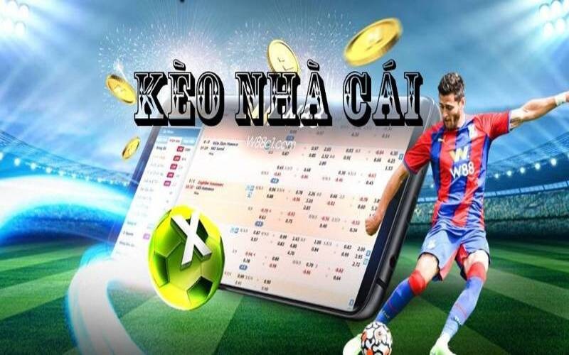 K&egrave;o Nh&agrave; C&aacute;i Trực Tiếp &ndash; Hướng Dẫn Đầy Đủ Cho Người Tham Gia - Ảnh 1