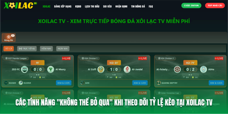 Tỷ Lệ Kèo Xoilac TV Chuẩn 100%, Xem Tỷ Lệ Kèo Xoilac Ở Đâu Chính Xác Nhất - Ảnh 3