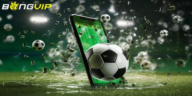 Nh&agrave; c&aacute;i Bongvip &ndash; Hệ sinh th&aacute;i giải tr&iacute; trực tuyến định hướng trải nghiệm bền vững - Ảnh 1