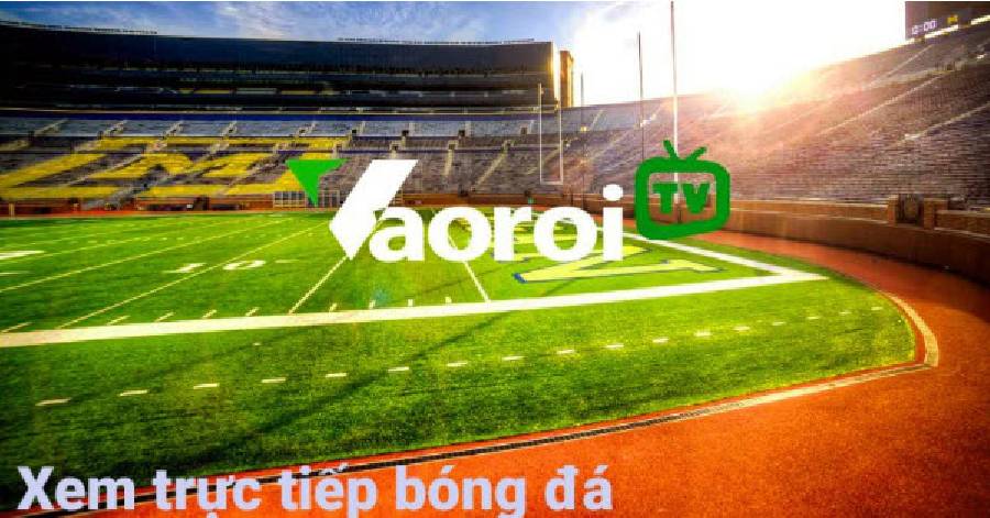Thưởng thức bóng đá mọi lúc, mọi nơi với Vaoroi TV tại holsteraddict.com