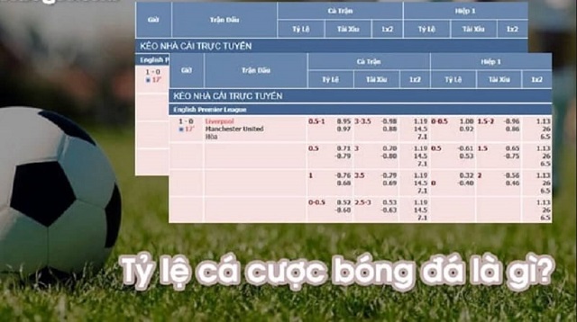 Tỷ lệ cá cược bóng đá là gì? Các loại tỷ lệ cá cược tại các nhà cái? - Ảnh 3