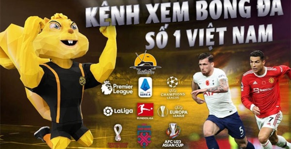 Rakhoi TV - Kênh trực tiếp bóng đá cực  chất rakhoitv.win  - Ảnh 3