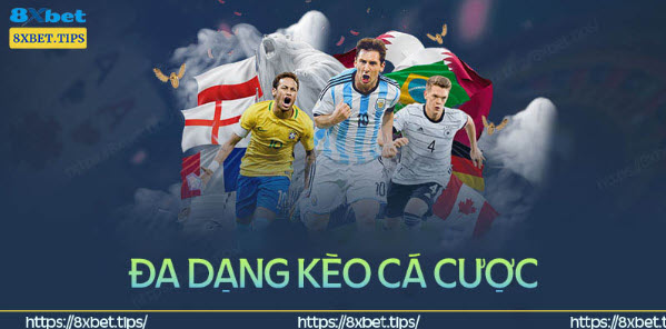 Thể thao 8XBet – Nơi giải trí niềm đam mê cá cược hàng đầu - Ảnh 1