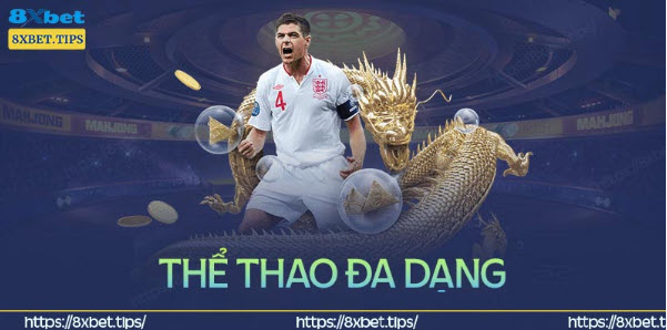 Thể thao 8XBet – Nơi giải trí niềm đam mê cá cược hàng đầu - Ảnh 2