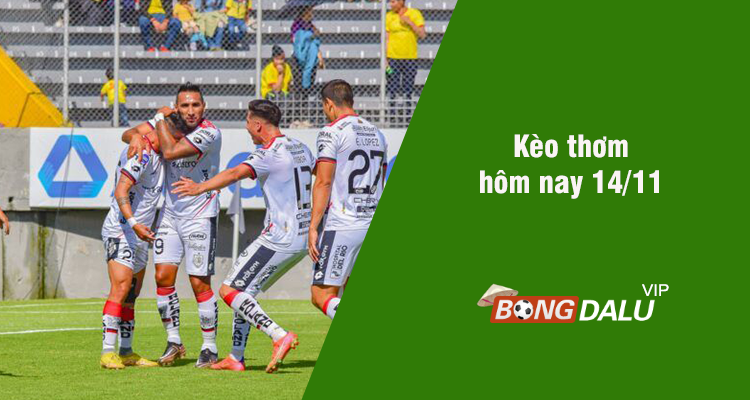 Kèo thơm hôm nay 14/11/2023 - Ảnh 1
