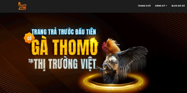 FQA - Giải đáp một số thắc mắc về sân chơi Alo789vn - Ảnh 2
