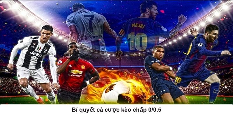 0/0.5 Là Kèo Gì? Cách Đọc Chuẩn Xác Cho Bet Thủ Thể Thao Mới - Ảnh 1