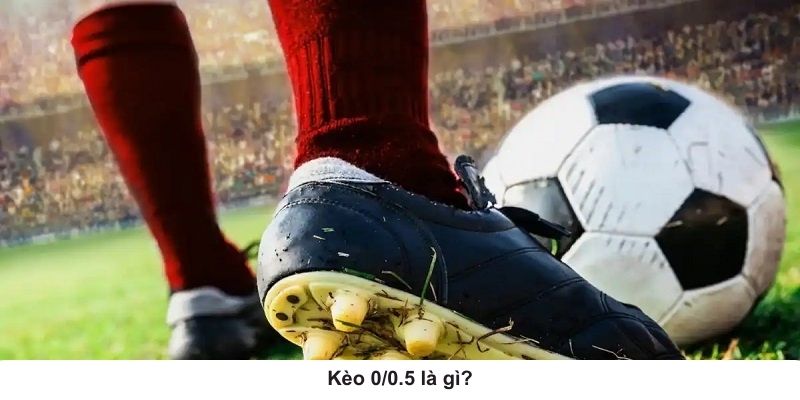 0/0.5 Là Kèo Gì? Cách Đọc Chuẩn Xác Cho Bet Thủ Thể Thao Mới - Ảnh 2