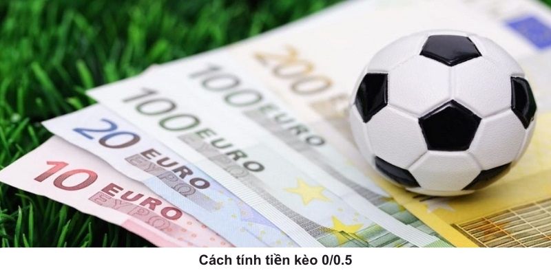 0/0.5 Là Kèo Gì? Cách Đọc Chuẩn Xác Cho Bet Thủ Thể Thao Mới - Ảnh 3