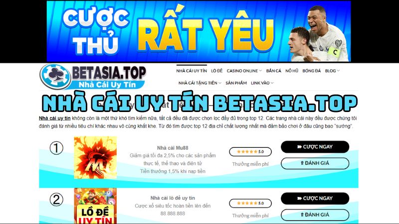 Nhà cái uy tín betasia.top - Kênh ‘buffet’ nhà cái cực đỉnh  - Ảnh 2