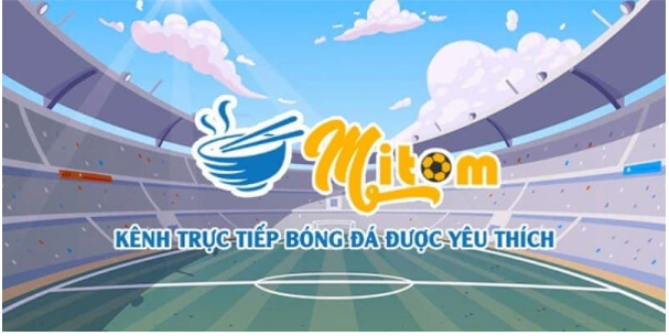 Khám phá bảng xếp hạng - Mitom TV tại mitom1-tv.pro là lựa chọn hoàn hảo! - Ảnh 1