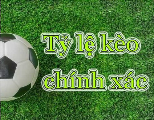 Bật Mí Cách Đọc Tỷ Lệ Kèo Nhà Cái Hitclub Chuẩn Nhất - Ảnh 3