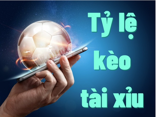 Bật Mí Cách Đọc Tỷ Lệ Kèo Nhà Cái Hitclub Chuẩn Nhất - Ảnh 4