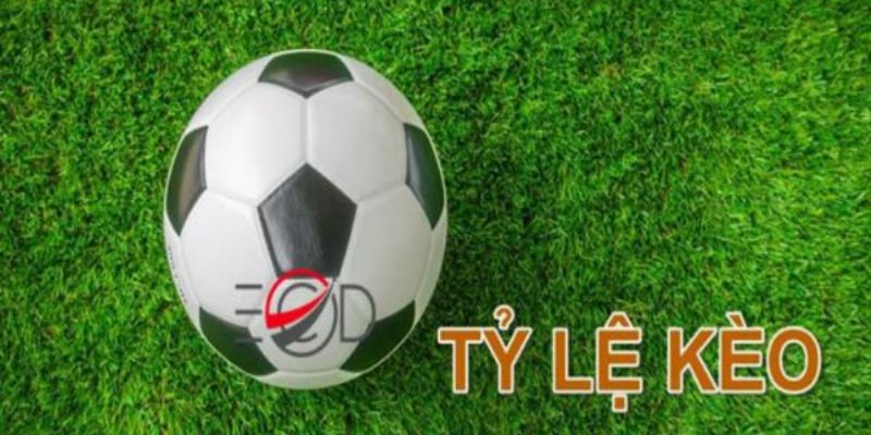 những tỷ lệ kèo thường gặp tại hệ thống Fb68 - Ảnh 2