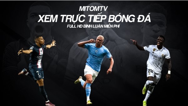Tìm hiểu sơ lược về trang Mitom TV