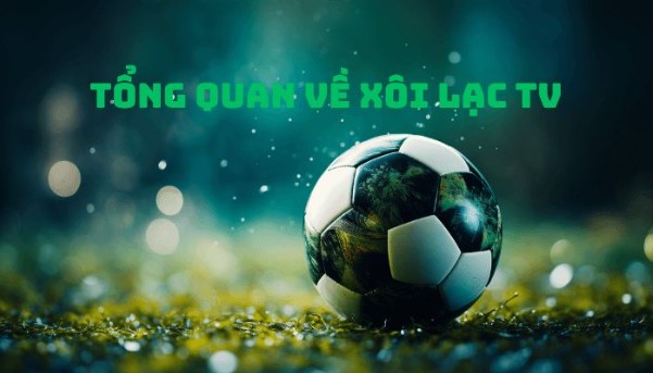 Xoilac TV - Kênh xem trực tiếp bóng đá hot nhất hiện nay