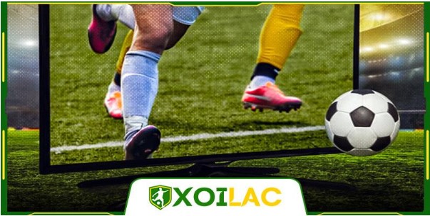 Xem live bóng đá cực chất các trận cầu độc quyền tại Xoilac TV.