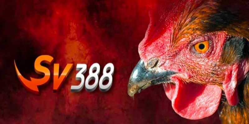 SV388 - Hệ thống nhà cái uy tín đỉnh cao tại Việt Nam - Ảnh 1