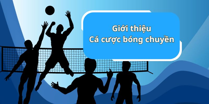Cá Cược Bóng Chuyền - Sân Chơi Hấp Dẫn Tại Nhà Cái Hi88 - Ảnh 2