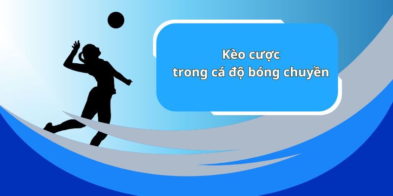 Cá Cược Bóng Chuyền - Sân Chơi Hấp Dẫn Tại Nhà Cái Hi88 - Ảnh 3