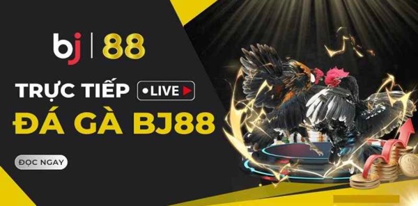 BJ88 - Khuấy Đảo Thế Giới Giải Trí Đẳng Cấp, Hấp Dẫn Nhất - Ảnh 3