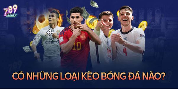 Kèo bóng đá là gì? Có những loại kèo bóng đá nào? - Ảnh 2