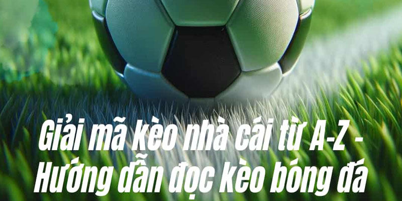 Kèo Nhà Cái - Địa Chỉ Chia Sẻ Kèo Bóng Đá Uy Tín 2024 - Ảnh 2
