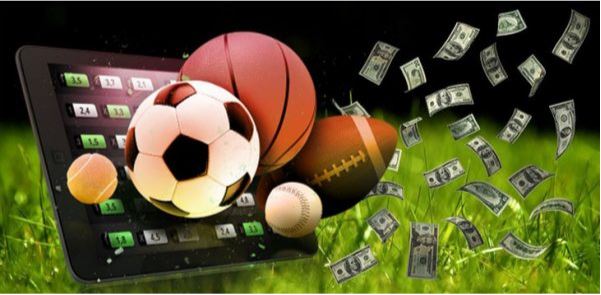 Trangcadobongda.lat tiết lộ nguyên nhân các cược thủ cá cược nhưng mãi thua - Ảnh 1