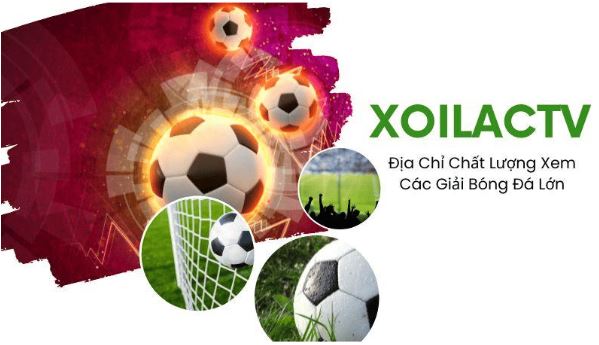 Xem trực tiếp tiếp euro không bỏ lỡ một trận đấu nào cùng xoilac-lich-euro.live - Ảnh 3