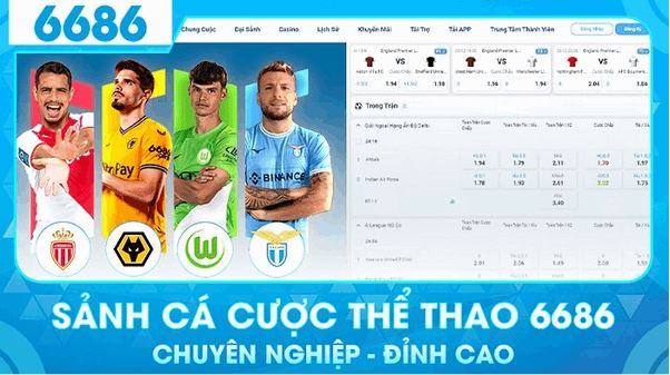 6686 bet - 6686.digital: Sự ủng hộ tuyệt đối từ cộng động người chơi - Ảnh 1