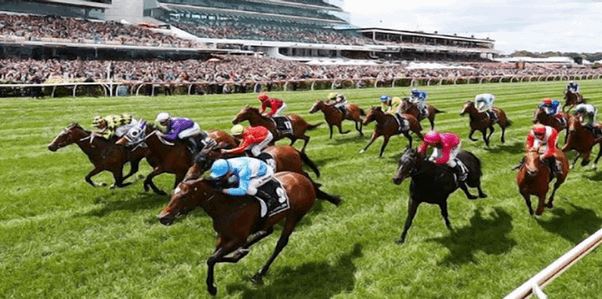 Thưởng thức thế giới cá cược trực tuyến đẳng cấp tại 6686vn.net - Ảnh 3