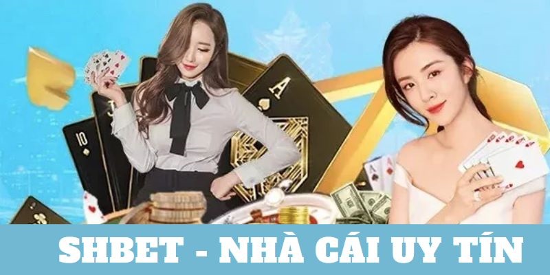 Top 6+ Nhà Cái Uy Tín Trải Nghiệm Tuyệt Vời Nhất 2024 - Ảnh 2