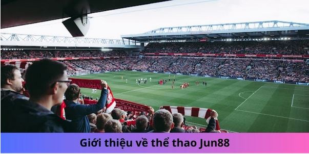 Thể Thao Jun88 - Trải Nghiệm Cá Cược Sân Cỏ Hàng Đầu 2024 - Ảnh 1