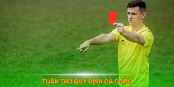 Saba Sports – Nền tảng cá cược thể thao uy tín và đa dạng - Ảnh 1